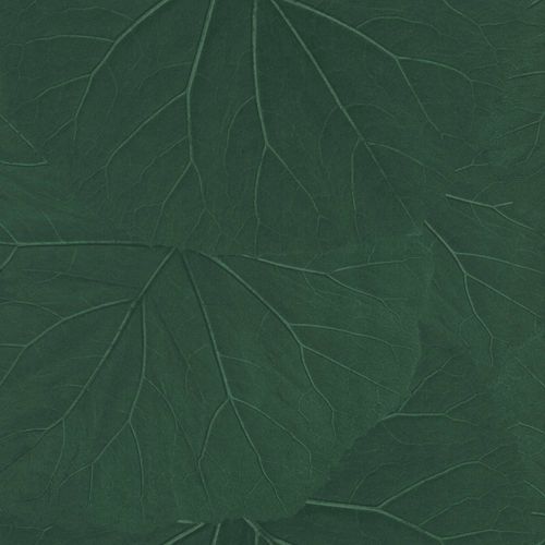 Non-Woven Wallpaper Leaves 3D Floral dark green 138997