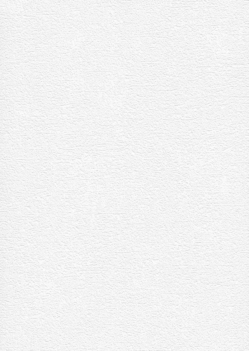 NonWoven Ceiling Wallpaper fine texture white 73301