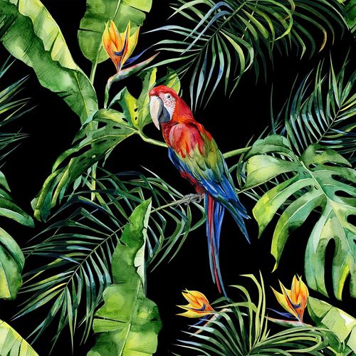 Photo Wallpaper Digital Floral Parrot black DD116615