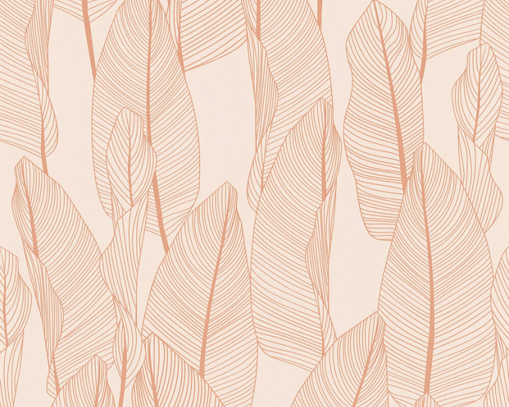 Apricot Brown Desktop Wallpaper 6 : Apricot Brown