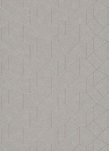 Graphic-Design non-woven wallpaper grey beige 10062-02