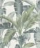 Non-woven Wallpaper Barbara HOME Jungle green 536683 1