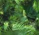 Self-adhesive wallpaper fern jungle green Panel 368441 1