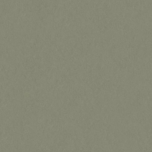 Non-Woven Wallpaper Plain Mottled platin metallic 84858