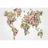 Photo Non-Woven Wallpaper Flowers World Map green rose 1