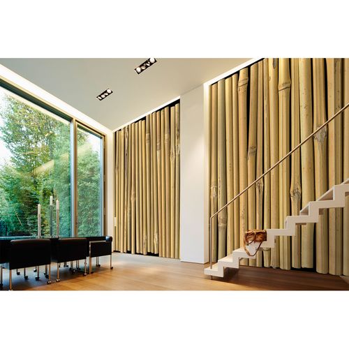 Photo Wallpaper Bamboo beige black DD108650