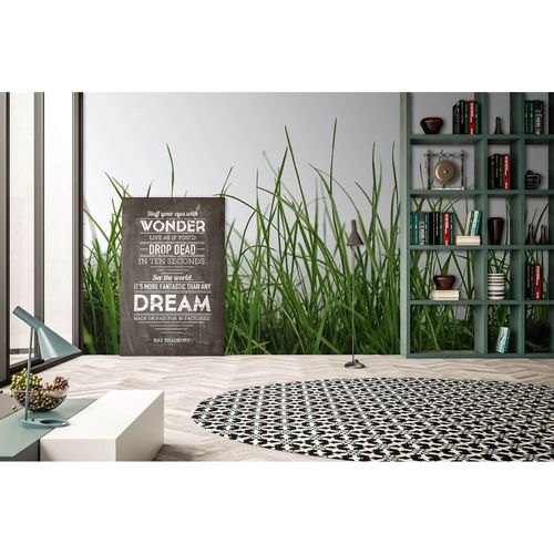 Photo Wallpaper Grass green white AS Creation DD109160