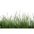 Photo Wallpaper Grass green white AS Creation DD109160 2