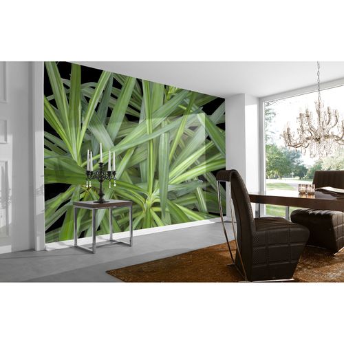 Photo Wallpaper Palm green AS Creation DD109150