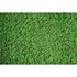 Photo Wallpaper Moss green AS Creation DD108835 1