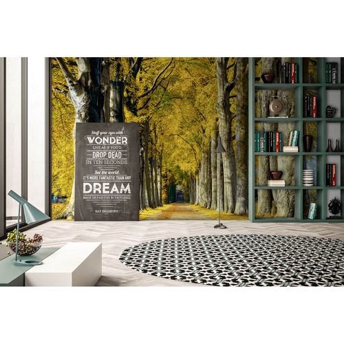 Photo Wallpaper Tree Avenue brown cream DD109280