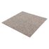 Carpet Tile Hard-Wearing Rug Diva beige 50x50 cm 5