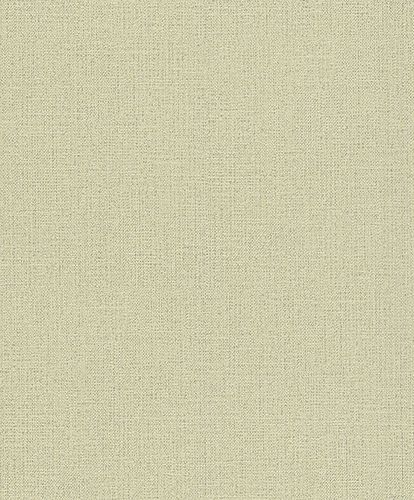 Rasch Andy Wand non-woven wallpaper plain textile green 639667