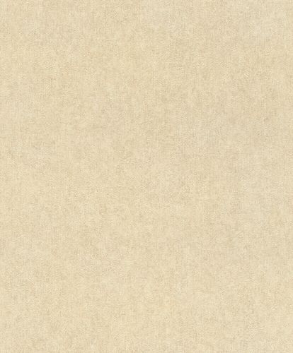 Non-Woven Wallpaper Rasch Plain Plaster brown 617344