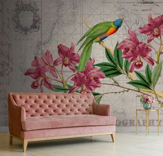 Photo Wallpaper Non-Woven Bird Blossoms green red grey