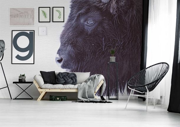 Photo Wallpaper Non-Woven Buffalo Animal Nature black