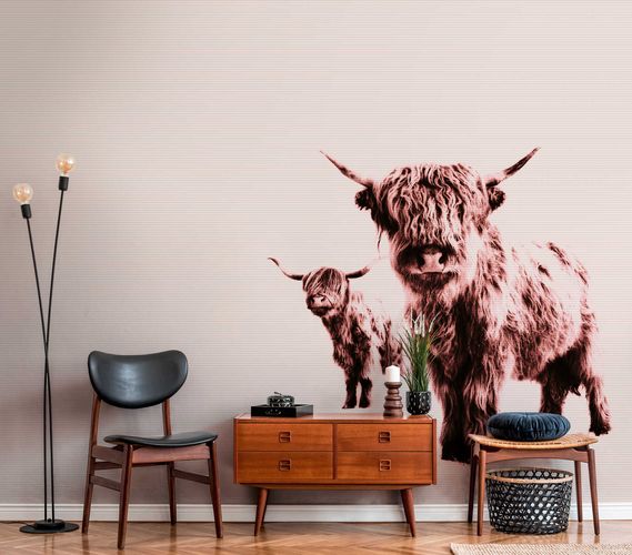 Photo Wallpaper Non-Woven Highland Beef Nature brown