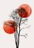 Photo Wallpaper Non-Woven Tree Moon Nature red black 2