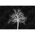 Picture Photo Wallpaper Non-Woven Tree Board black white 2