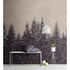 Picture Photo Wallpaper Non-Woven Forest Trees taupe black 1