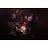 Image Photo Wallpaper Non-Woven Flowers Floral black pink 2