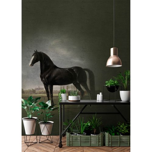 Picture Photo Wallpaper Non-Woven Painting Horse black grey