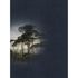 Picture Photo Wallpaper Non-Woven Painting Image Forest blue 2