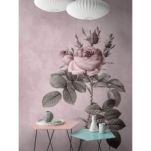 Picture Photo Wallpaper Non-Woven Rose Flower Floral pink grey