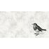 Picture Photo Wallpaper Non-Woven Bird Sparrow Nature grey 2