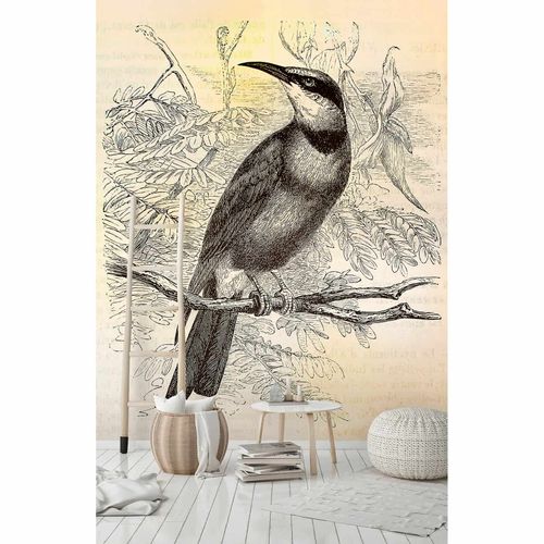 Picture Photo Wallpaper Non-Woven Birds Tropic cream yellow