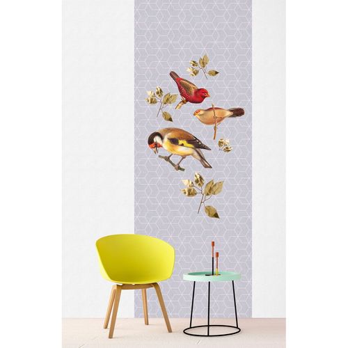 Picture Photo Wallpaper Panel Non-Woven Birds grey