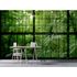 Image Photo Wallpaper Non-Woven Window Rainforest green 1