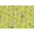 Image Photo Wallpaper Non-Woven Blossoms Floral Vintage green 2