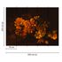 Image Photo Wallpaper Blossoms Flowers Floral orange black 3