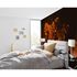 Room Image Photo Wallpaper Blossoms Flowers Floral orange black 2