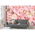 Photo Wallpaper Roses Floral pink cream Designwalls 1