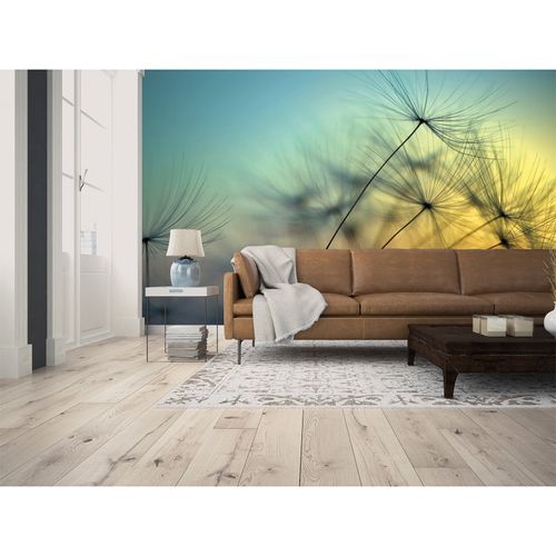 Photo Wallpaper Dandelion blue yellow black Designwalls