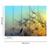 Photo Wallpaper Dandelion blue yellow black Designwalls 3