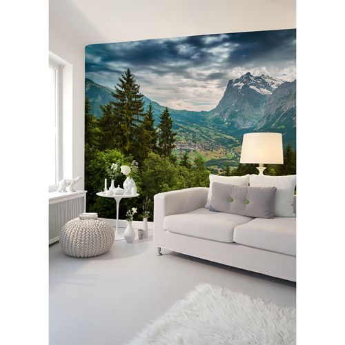 Room Image Photo Wallpaper Mountain Valley Trees green blue grey