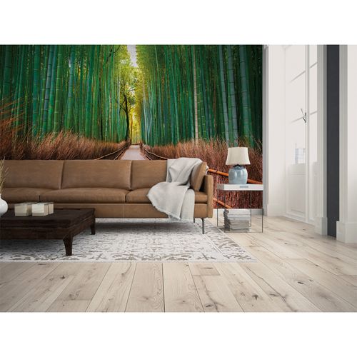 Room Image Photo Wallpaper Bamboo Path Forest green brown