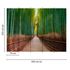 Picture Photo Wallpaper Bamboo Path Forest green brown 3