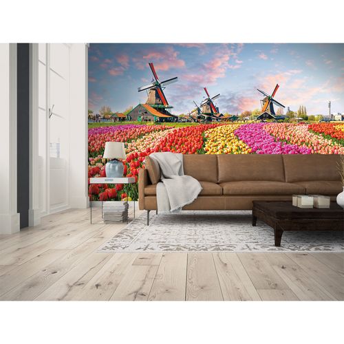 Photo Wallpaper Zaanse Schans Holland Tulips yellow pink