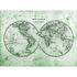 Image Photo Wallpaper World Map Retro green grey Designwalls 2