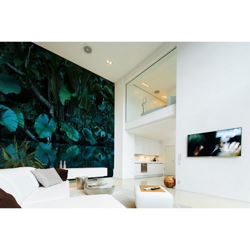 Room Image Photo Wallpaper Leaves Tropical Jungle dark green