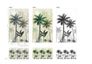 Illustration Photo Wallpaper Palms Plants Floral green grey 47202 3