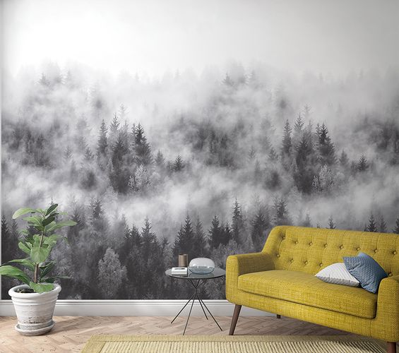 Picture Photo Wallpaper Forest Trees Fog grey white 47268