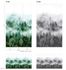 Illustration Photo Wallpaper Forest Trees Fog grey white 47268 3
