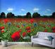 Picture Photo Wallpaper Poppies Meadow red green blue 47273 1