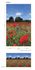 Illustration Photo Wallpaper Poppies Meadow red green blue 47273 3