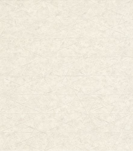 Non-Woven Wallpaper Rasch Mesh grey-white 554311